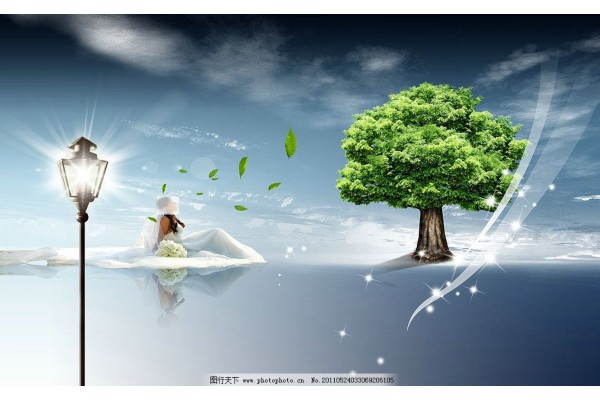 杭州晓英盲人按摩：专业保健，舒压解疲，体验身心疗愈